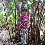 Costa Rica20150330-1536-0132